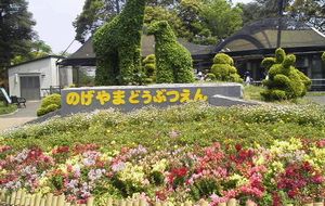 かっぱの休日(その2)_e0234016_18161761.jpg