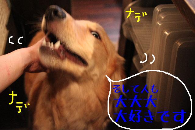 こんばんわぁ～！！_b0130018_2233233.jpg