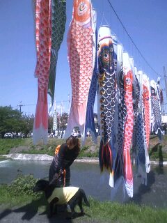 c0240318_21301754.jpg