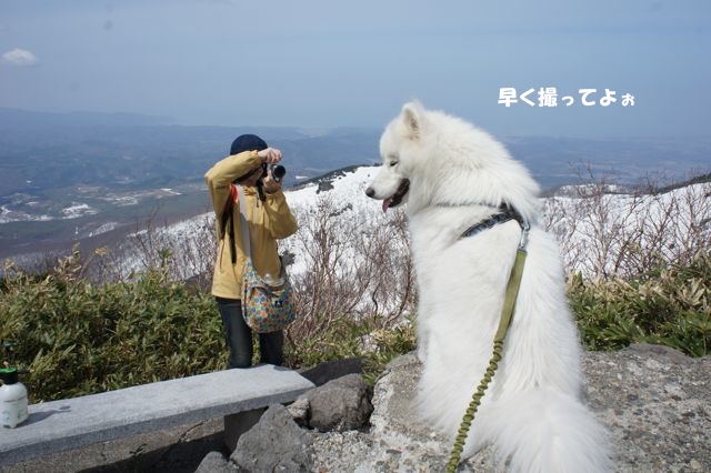 2012年GWなんだ！東北編＿5月2日その二_f0234023_9221321.jpg