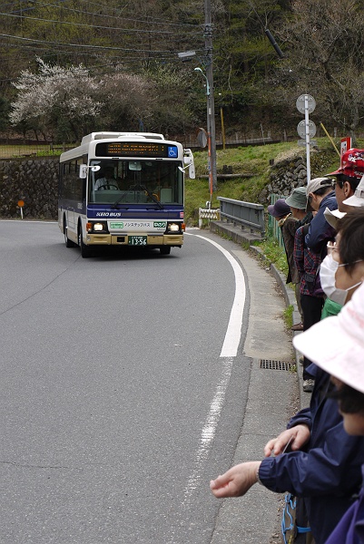 高尾山、スミレ探しの旅　その６_c0196928_1835247.jpg