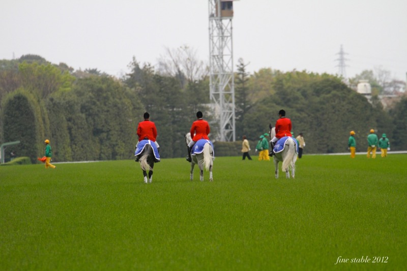 c0240132_8185738.jpg