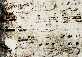b0213435_061689.gif