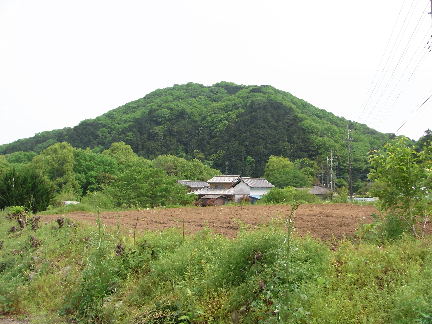 正山（塩山）【嵐山町鎌形】_d0242338_1755562.jpg