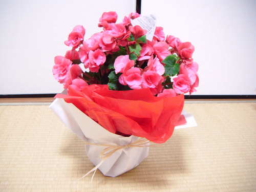 a0213742_2258719.jpg