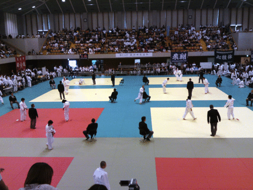 d0200447_121941.gif
