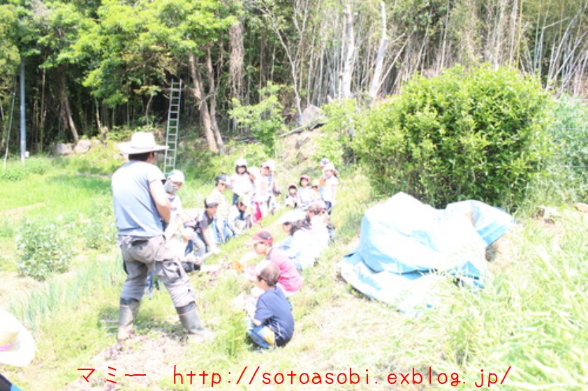 d0105749_1831568.jpg