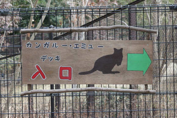 のんほいレポート～トラウマ剥製群 : 動物園ありマス。