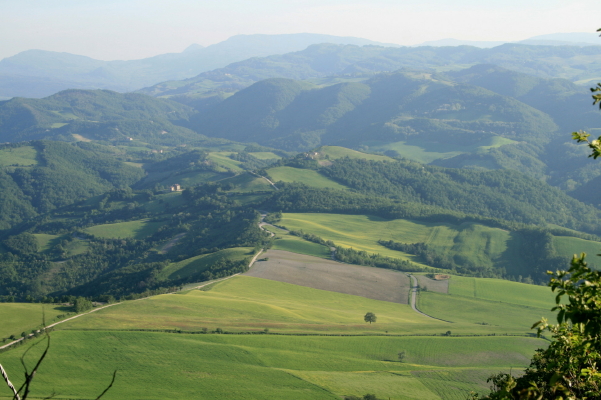 Monte delle FormicheとB.D.ディナー_f0077159_19165945.jpg