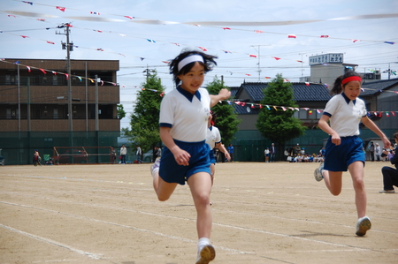c0108460_175015.jpg