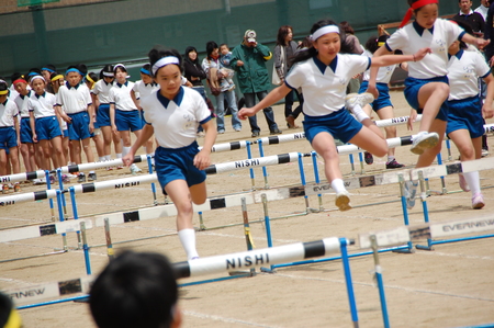 c0108460_17595647.jpg