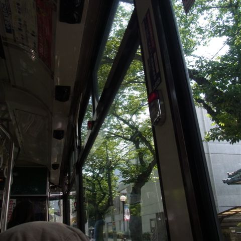 a0123465_050081.jpg