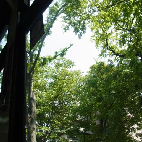 a0123465_0505625.jpg