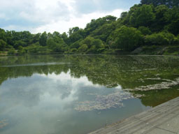 天気に恵まれた郷土史会バス旅行（伊豆韮山ほか）_a0055866_2134132.jpg