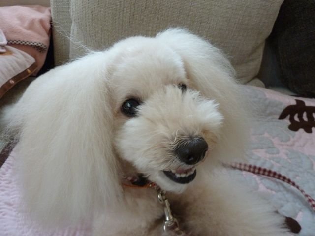 a0083571_003460.jpg