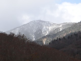 d0134473_1722780.jpg