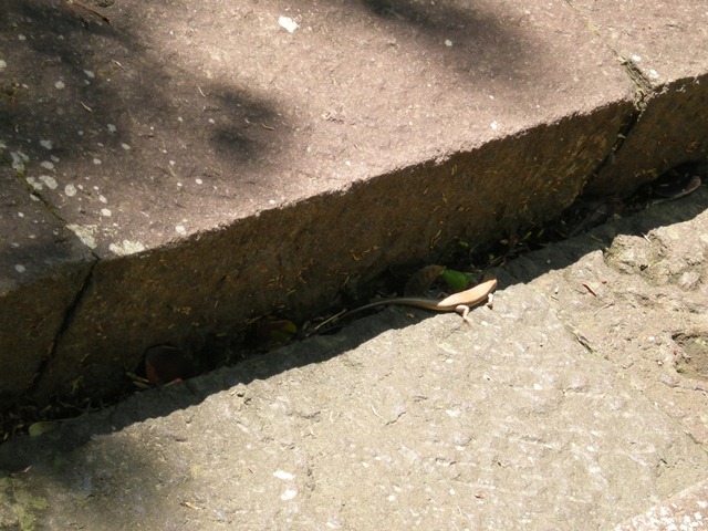 f0063887_01554.jpg