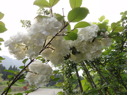 f0209394_01917.jpg