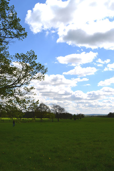 Wimpole Estate_f0188600_6115230.jpg