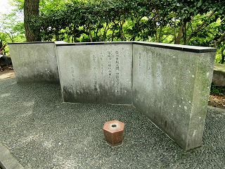 岡崎公園②(岡崎散歩 徳川将軍15代)_c0187004_20404666.jpg