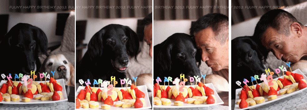 c0017311_2157296.gif