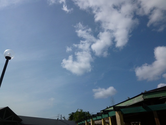 a0098513_21303166.jpg