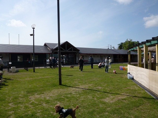a0098513_21305234.jpg
