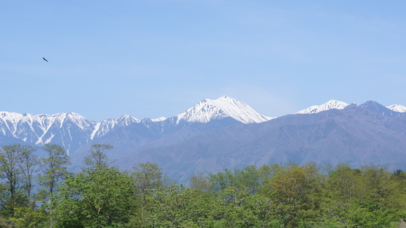 f0233414_16246.jpg