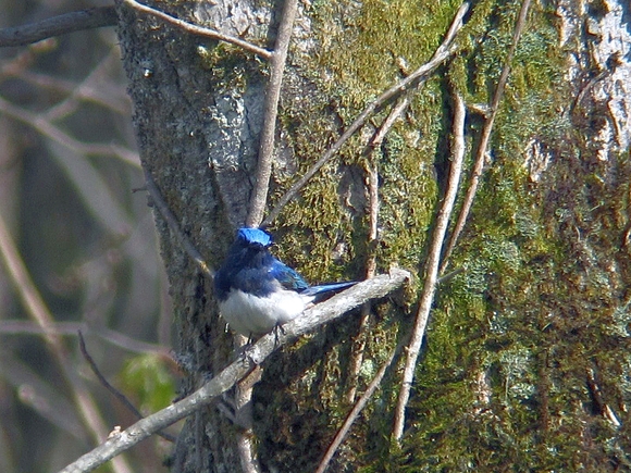 c0039919_17302079.jpg