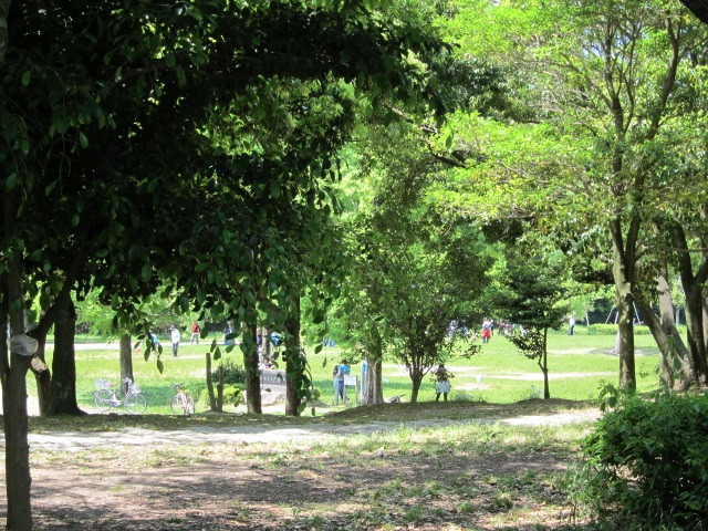 c0225420_19291241.jpg
