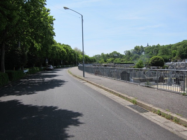 c0225420_19353016.jpg