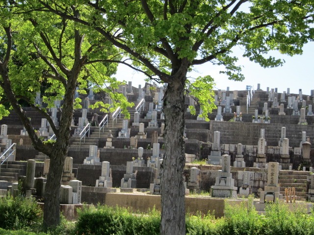 c0225420_19364480.jpg