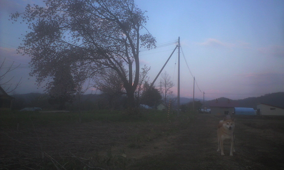 e0227023_1232075.jpg
