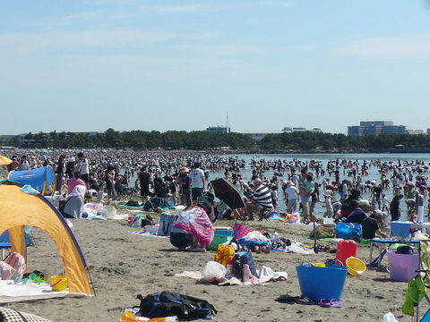 海の公園-潮干狩り_e0237625_0513695.jpg