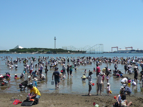 海の公園-潮干狩り_e0237625_0515258.jpg