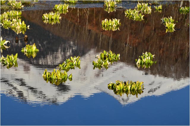 水芭蕉の追っかけ！_c0132230_21295963.jpg