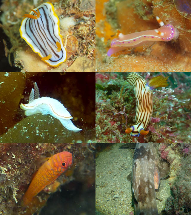 2012年5月13日(日・晴れのち曇り)甲浦_d0164831_1524589.jpg