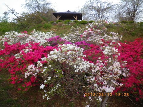 e0120932_23104249.jpg