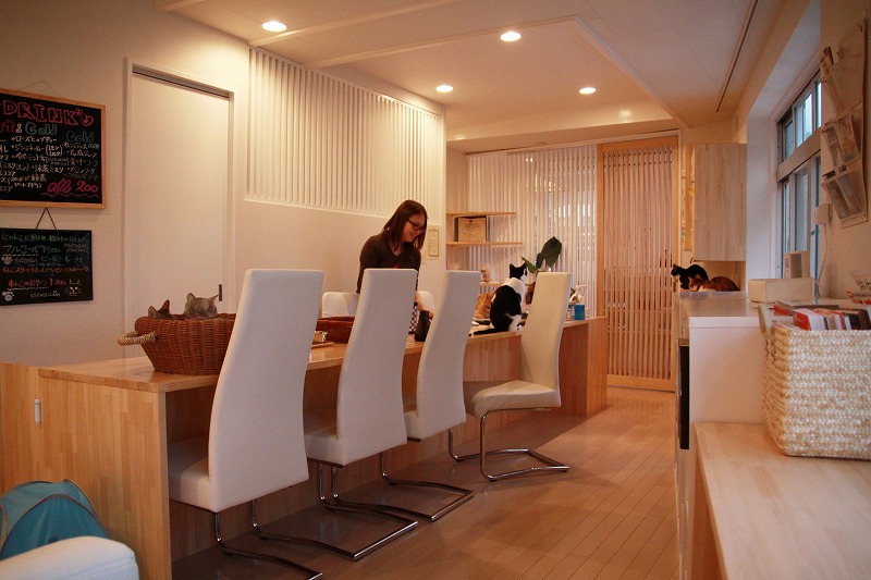 芦屋市芦屋川 芦屋ねこの手 新 間違いだらけの猫カフェ選び 芦屋市芦屋川 芦屋ねこの手 新 間違いだらけの猫カフェ選び