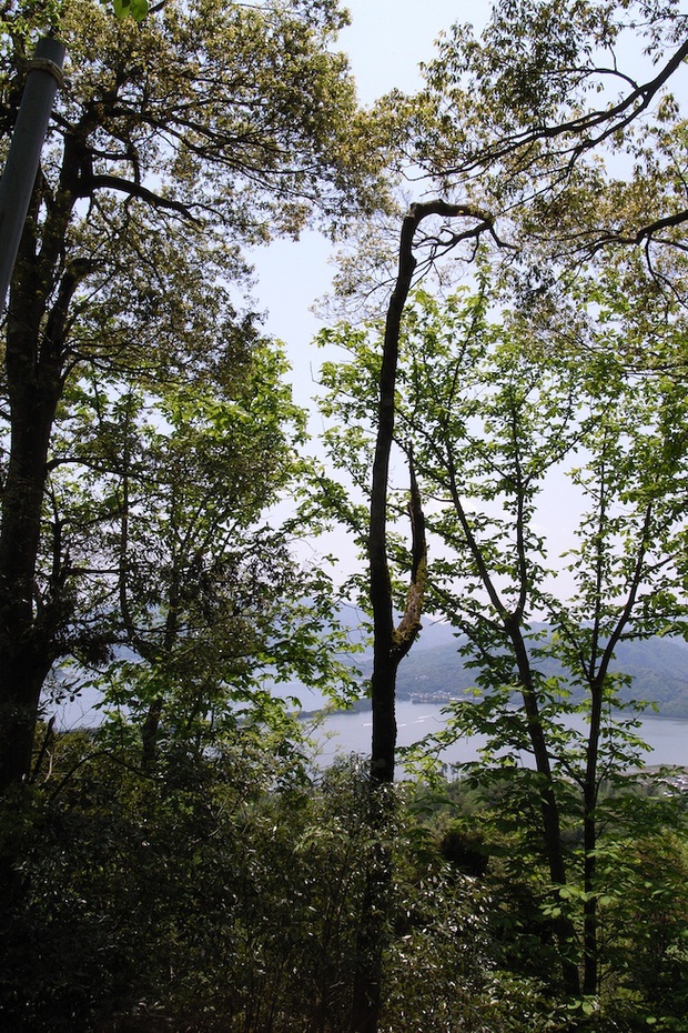 d0018837_939973.jpg