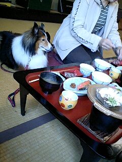 f0210439_23102281.jpg