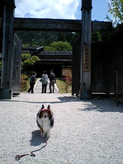 さかのぼり～５月１１日～木曽路_f0210439_23201057.jpg