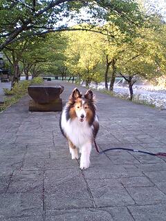f0210439_2321470.jpg