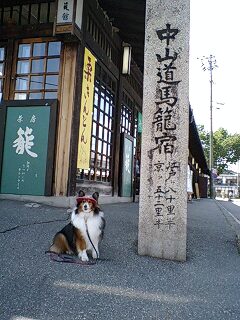 さかのぼり～５月１１日～木曽路_f0210439_23422372.jpg