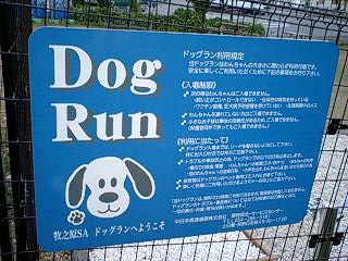 f0210439_23521077.jpg
