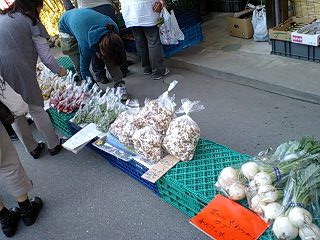 f0210439_237585.jpg