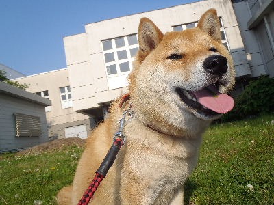 a0054240_22493597.jpg