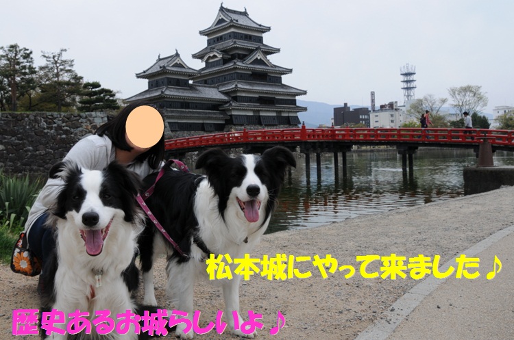 c0147241_20435266.jpg