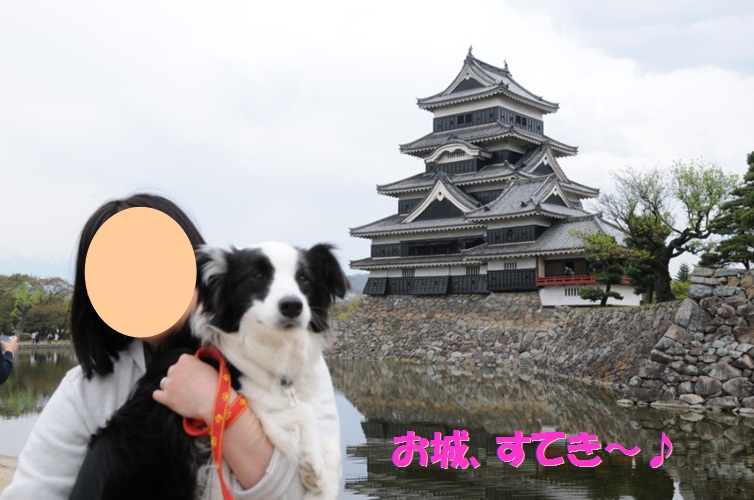 c0147241_20455944.jpg