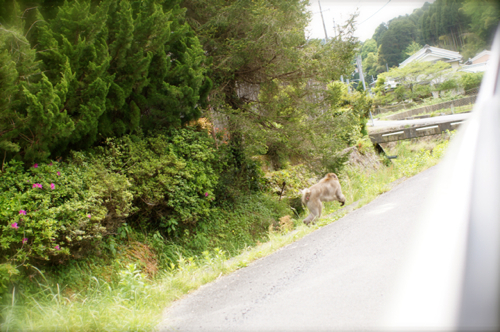 166 & organic...♪_f0057849_19195913.jpg